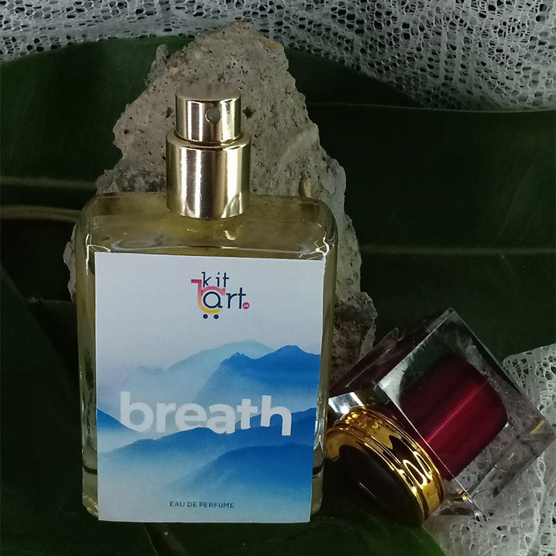 Breath Inspired By Bleu De Chanel 50ML For Men