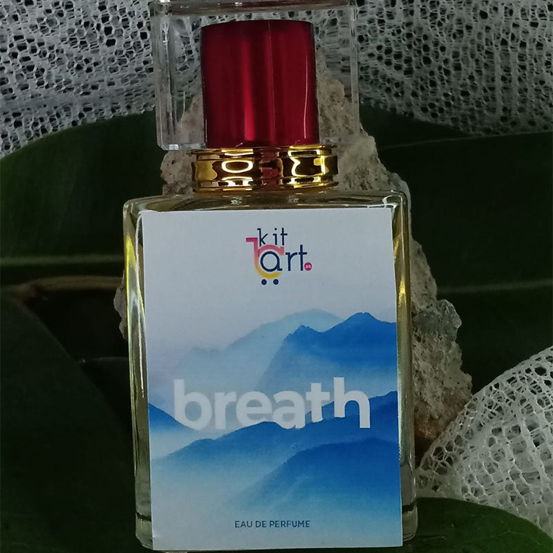 Breath Inspired By Bleu De Chanel 50ML For Men